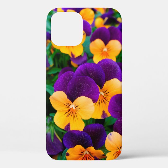 Beautiful blooming pansies in the garden Case-Mate iPhone case (Back)