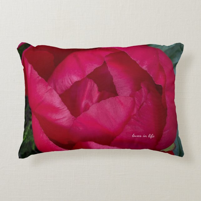 Beautiful Blooming Red Peony  Decorative Cushion (Front)