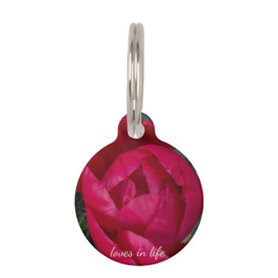 Beautiful Blooming Red Peony Pet Tag