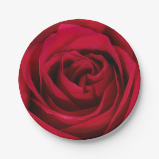 Beautiful Blooming Red Rose Plates
