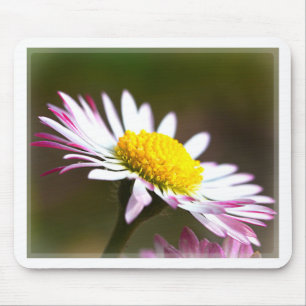 beautiful blossoms petals romance romantic bridal mouse mat
