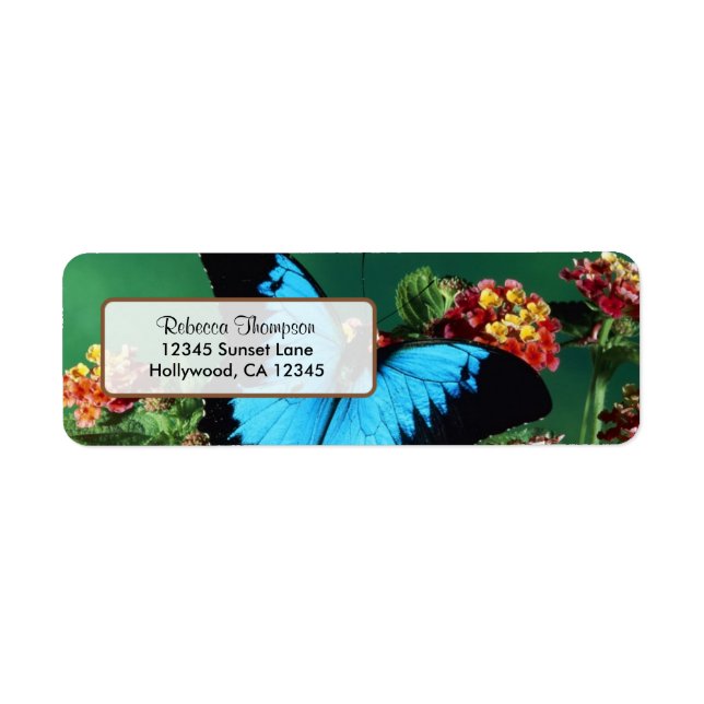 Beautiful Blue and Black Butterfly Address Label (Front)
