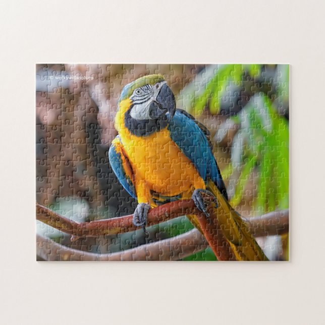 Beautiful Blue and Gold Macaw Jigsaw Puzzle (Horizontal)