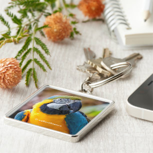 Beautiful Blue and Gold Macaw Key Ring