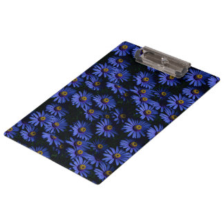 Beautiful blue asters clipboard