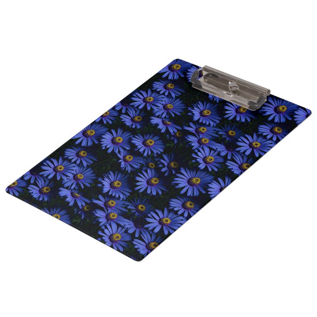 Beautiful blue asters clipboard (Angled)