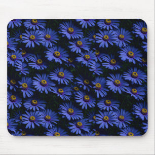 Beautiful blue Asters Mouse Mat