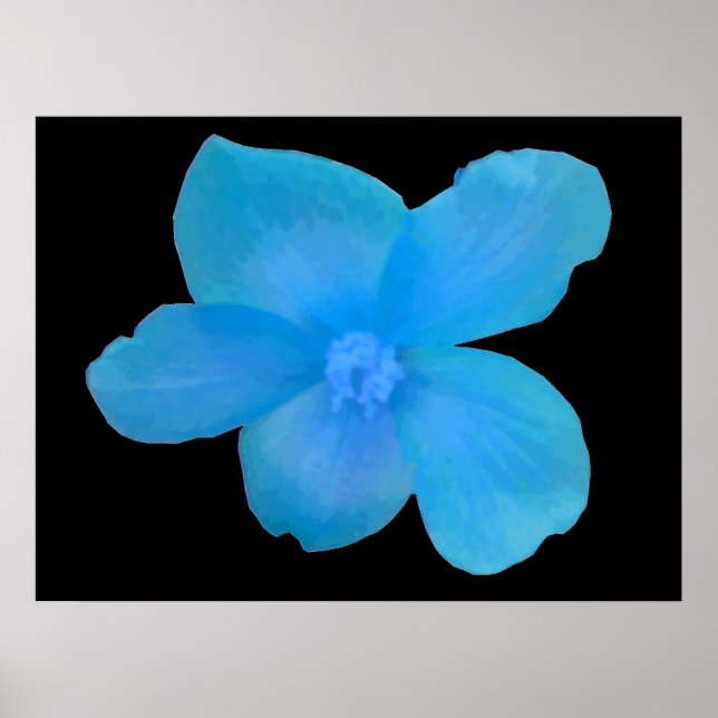 Beautiful Blue Begonia Flower Print (Front)