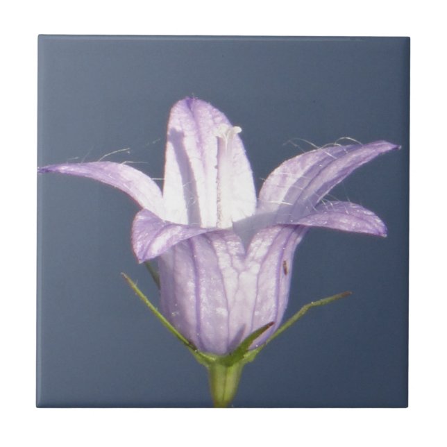 Beautiful blue bell flower tile (Front)