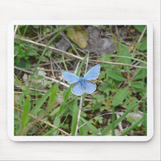 Beautiful Blue Butterfly Mouse Mat