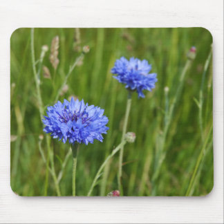 Beautiful Blue Cornflowers meadow flower design Mouse Mat