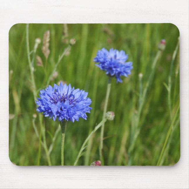 Beautiful Blue Cornflowers meadow flower design Mouse Mat (Front)