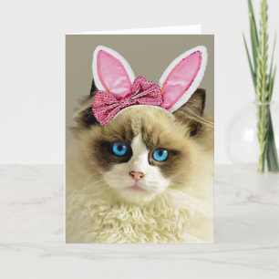 Beautiful Blue Eyed Cat Bunny Ears Easter Card