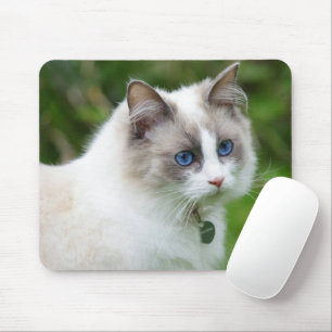 Beautiful Blue Eyed Kitten Mouse Mat