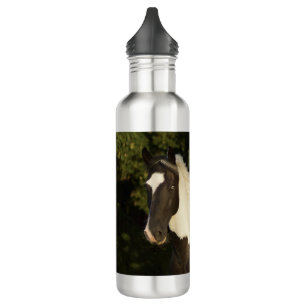Beautiful Blue Eyed Paint Horse 710 Ml Water Bottle
