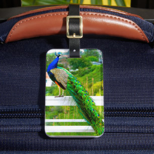 Beautiful blue green peacock bird photo elegant luggage tag