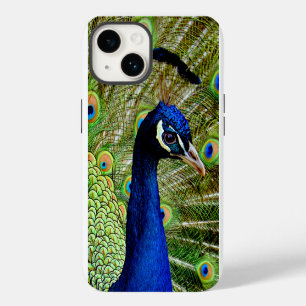 Beautiful Blue Green Peacock Bird Pretty iPhone 14 Case