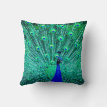 BEAUTIFUL BLUE GREEN YELLOW PEACOCK