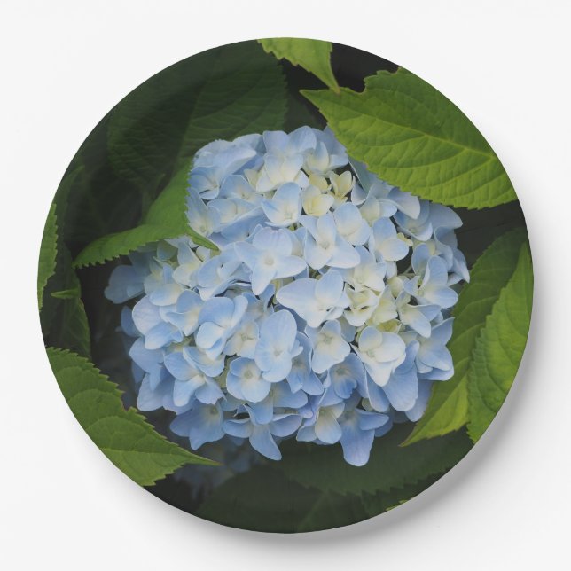 Beautiful Blue Hydrangea Floral Photo Paper Plate (Front)