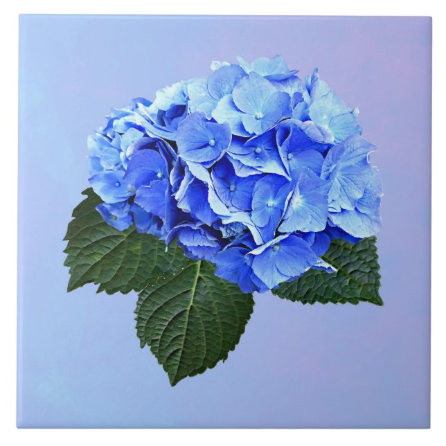 Beautiful Blue Hydrangea Tile (Front)