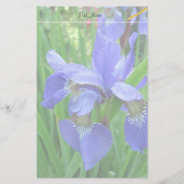 beautiful blue iris flowers stationery (Front)
