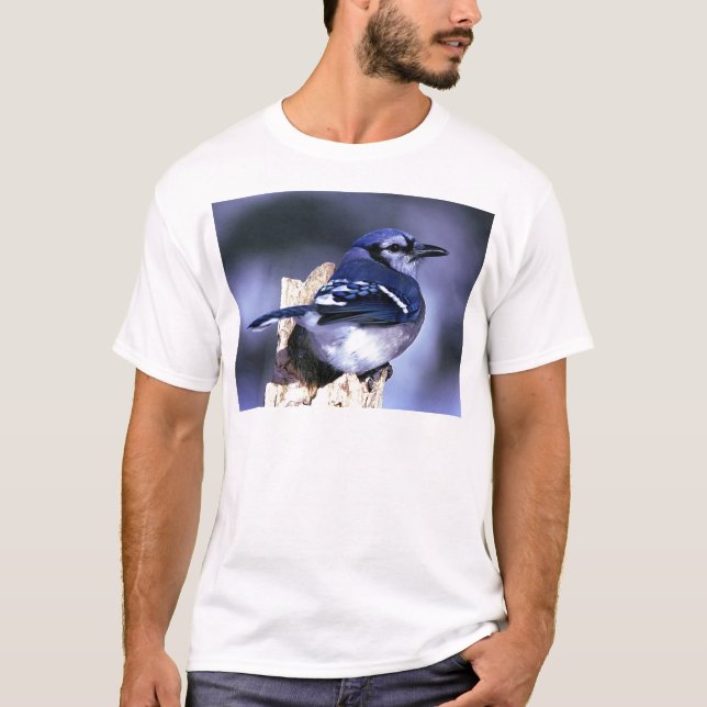 Beautiful Blue Jay bird T-Shirt (Front)
