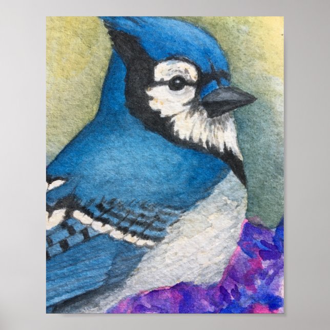 Beautiful Blue Jay Bird Watercolor Poster (Front)