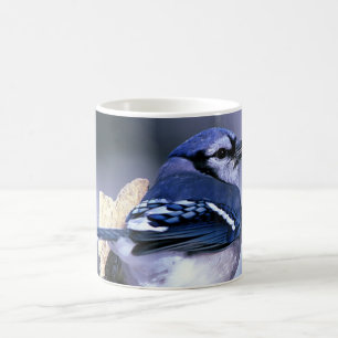 Beautiful Blue Jay Coffee Mug