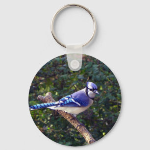 Beautiful Blue Jay Key Ring