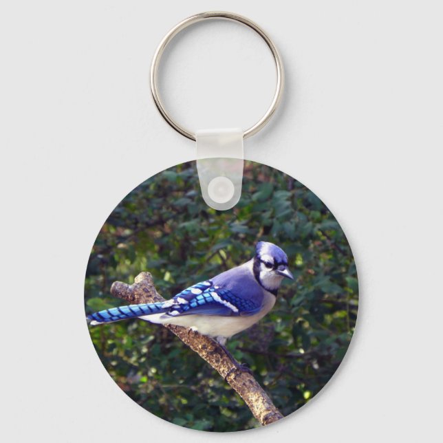Beautiful Blue Jay Key Ring (Front)