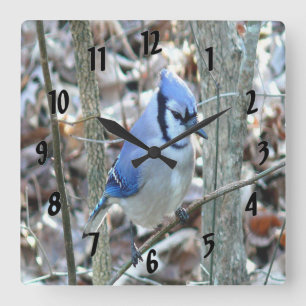 Beautiful Blue Jay Square Wall Clock