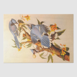 Beautiful Blue Jays decoupage furniture Tissue Paper