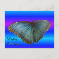 Beautiful Blue Morpho Butterfly Birthday Postcard