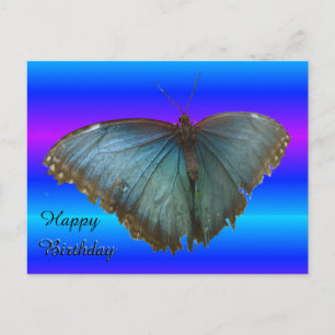 Beautiful Blue Morpho Butterfly Birthday Postcard