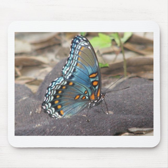 Beautiful Blue Orange and Black Butterfly. Mouse Mat (Front)