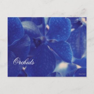 Beautiful Blue Orchids!, Blank Template Postcard