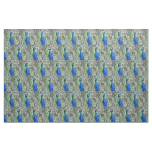 Beautiful Blue Peacock Feathers Fabric