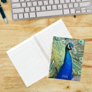 Beautiful Blue Peacock Feathers Photo Notebook