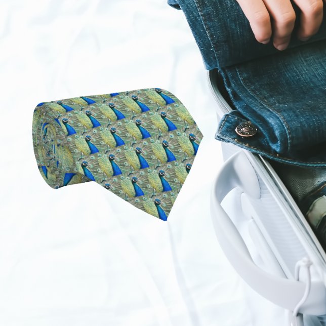 Beautiful Blue Peacock Feathers Tie (In Situ (Rolled))