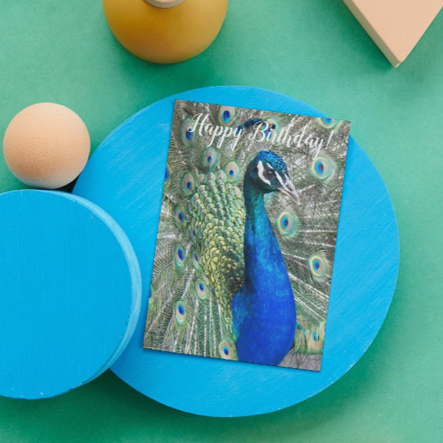 Beautiful Blue Peacock Photo Birthday Card (In Situ)