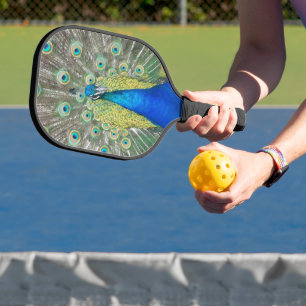 Beautiful Blue Peacock Plumage Photo Pickleball Paddle