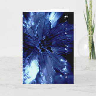 Beautiful blue pointsetta Christmas card