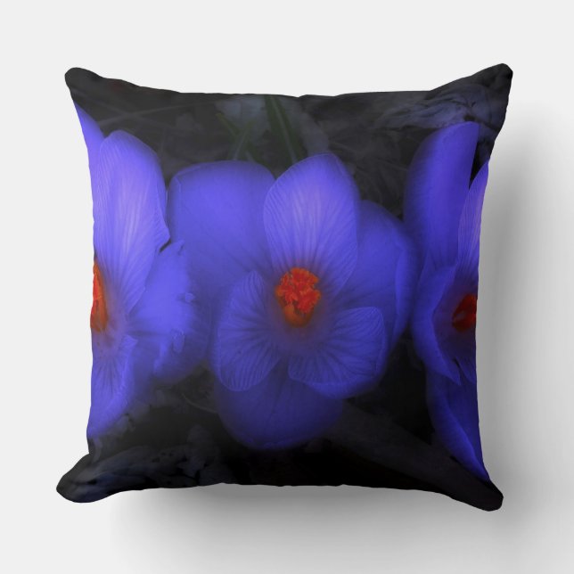 Beautiful Blue Purple Crocus Blooms Cushion (Front)