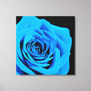 Beautiful blue rose canvas print