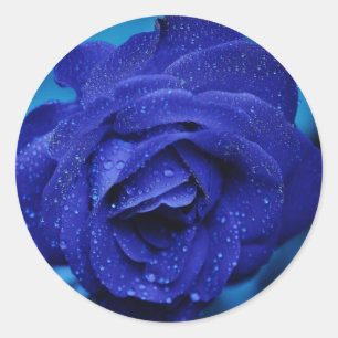 Beautiful Blue Rose Sticker