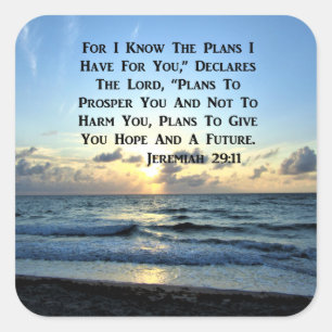 BEAUTIFUL BLUE SKIES JEREMIAH 29:11 PHOTO SQUARE STICKER