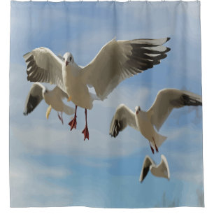 Beautiful Blue Sky Seagull Bird art Shower Curtain
