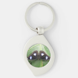 Beautiful Blue Spotted Butterfly Keychain