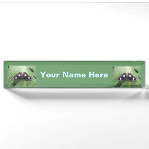 Beautiful Blue Spotted Butterfly Nameplate