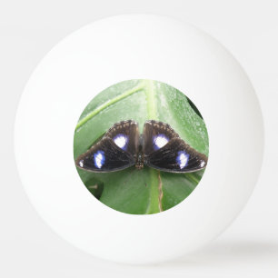 Beautiful Blue Spotted Butterfly Ping Pong Ball